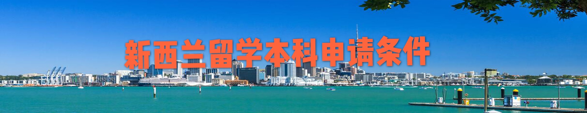 新西蘭留學本科申請條件